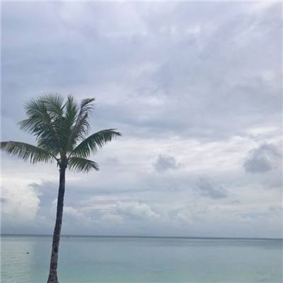 石器ee官方版下载